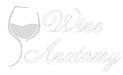 wine anatomy logo